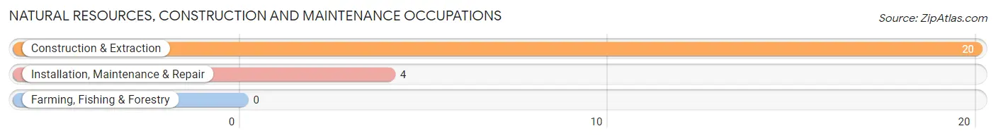 Natural Resources, Construction and Maintenance Occupations in Dalton