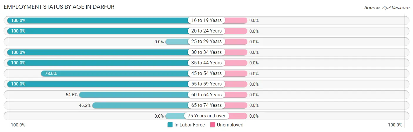 Employment Status by Age in Darfur
