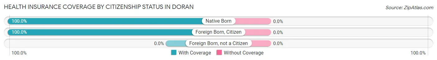Health Insurance Coverage by Citizenship Status in Doran
