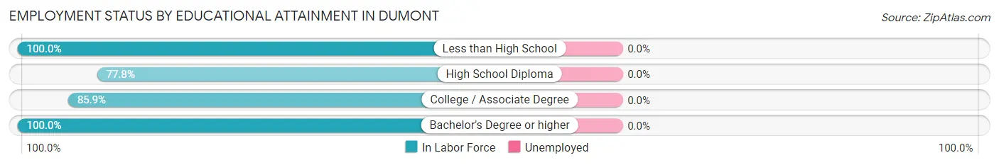 Employment Status by Educational Attainment in Dumont