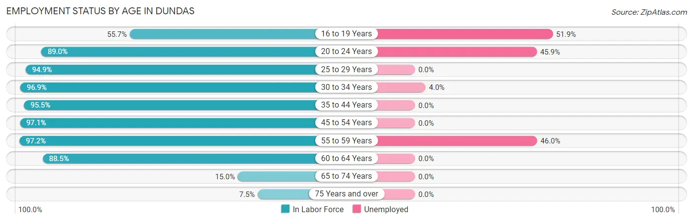 Employment Status by Age in Dundas