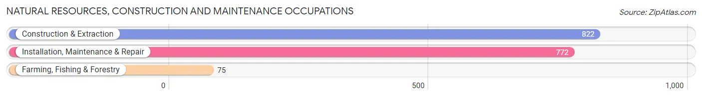 Natural Resources, Construction and Maintenance Occupations in Eagan