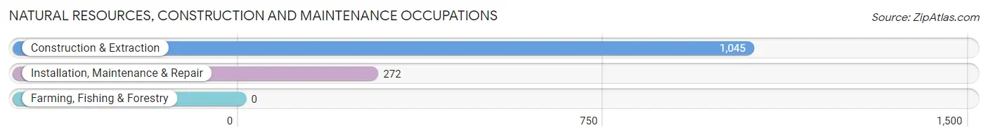 Natural Resources, Construction and Maintenance Occupations in East Bethel