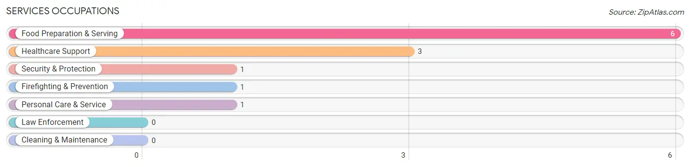 Services Occupations in Ebro