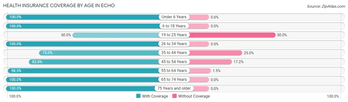 Health Insurance Coverage by Age in Echo