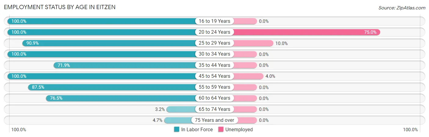 Employment Status by Age in Eitzen