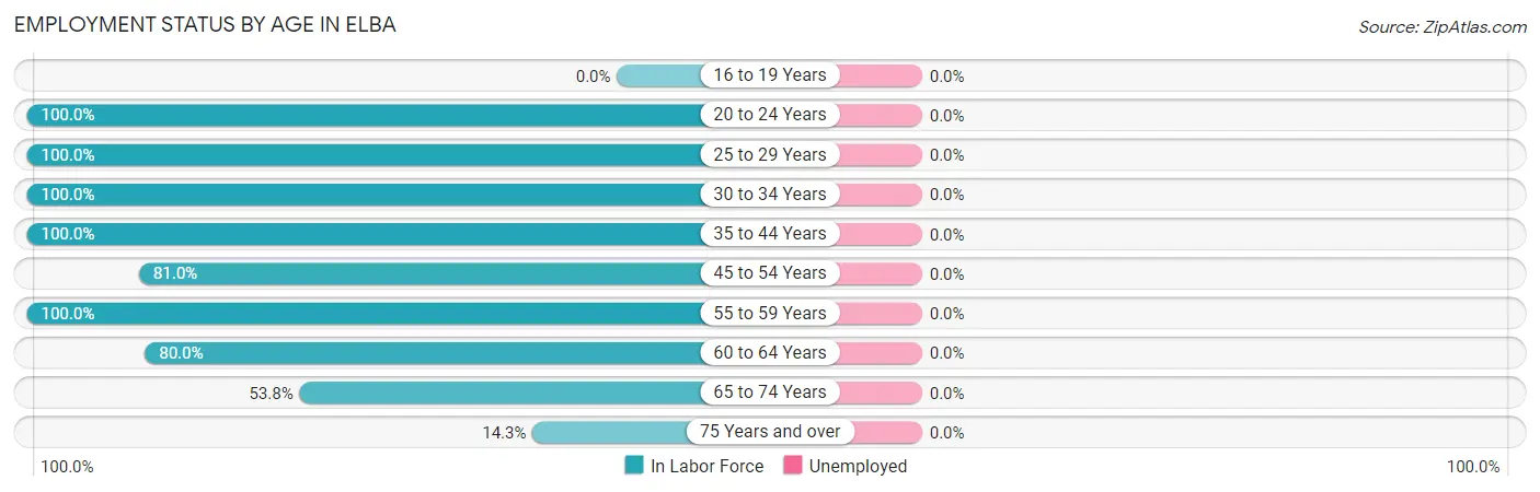 Employment Status by Age in Elba