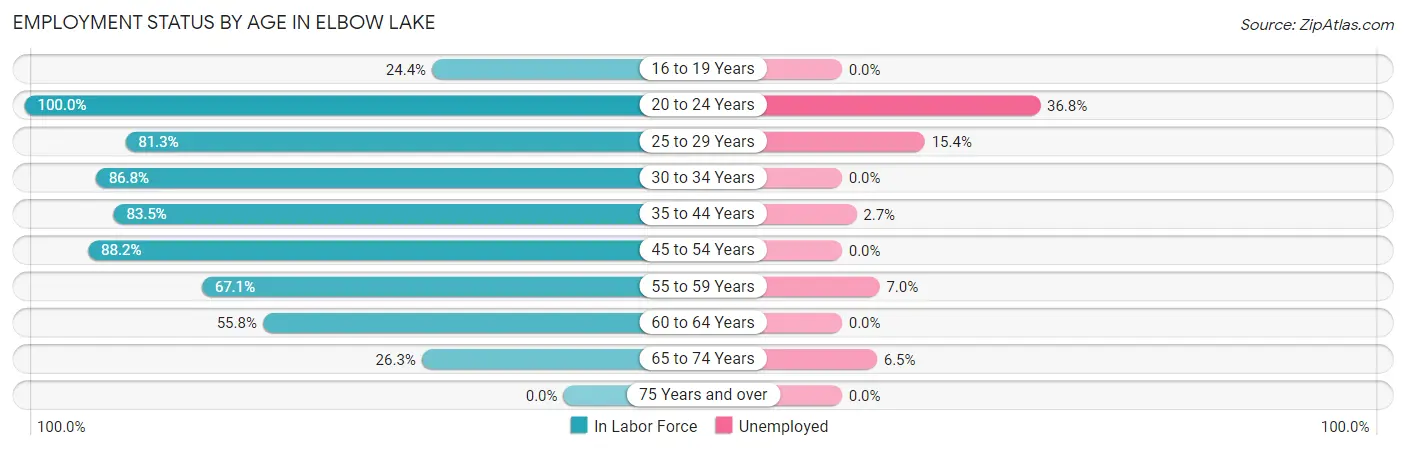 Employment Status by Age in Elbow Lake