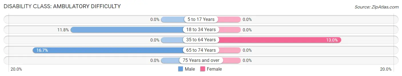 Disability in Elizabeth: <span>Ambulatory Difficulty</span>