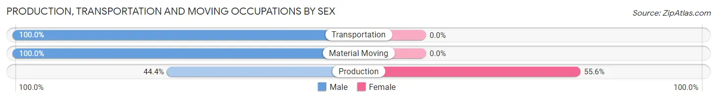 Production, Transportation and Moving Occupations by Sex in Elizabeth