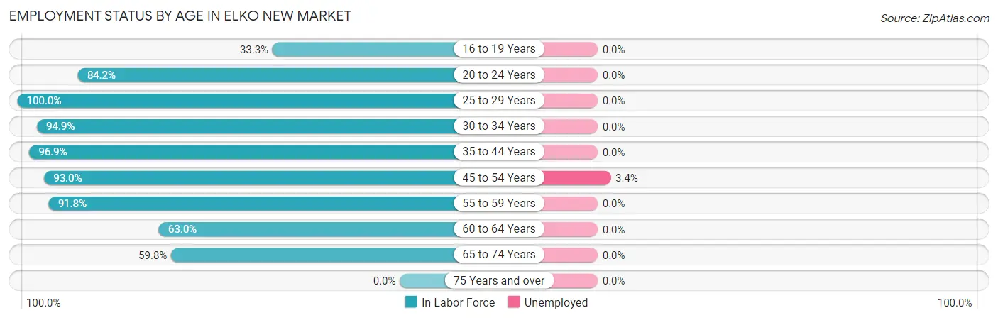 Employment Status by Age in Elko New Market