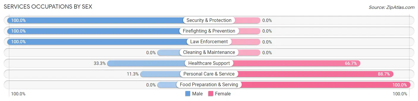Services Occupations by Sex in Elko New Market