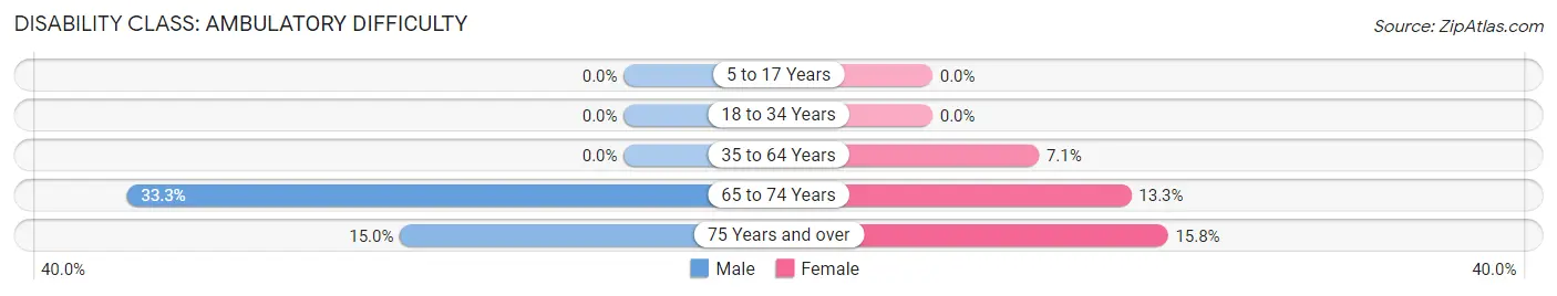 Disability in Elrosa: <span>Ambulatory Difficulty</span>