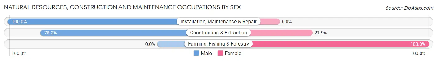 Natural Resources, Construction and Maintenance Occupations by Sex in Ely