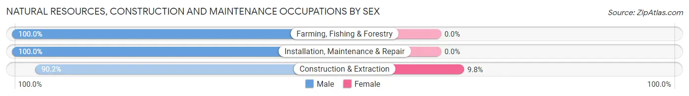 Natural Resources, Construction and Maintenance Occupations by Sex in Elysian