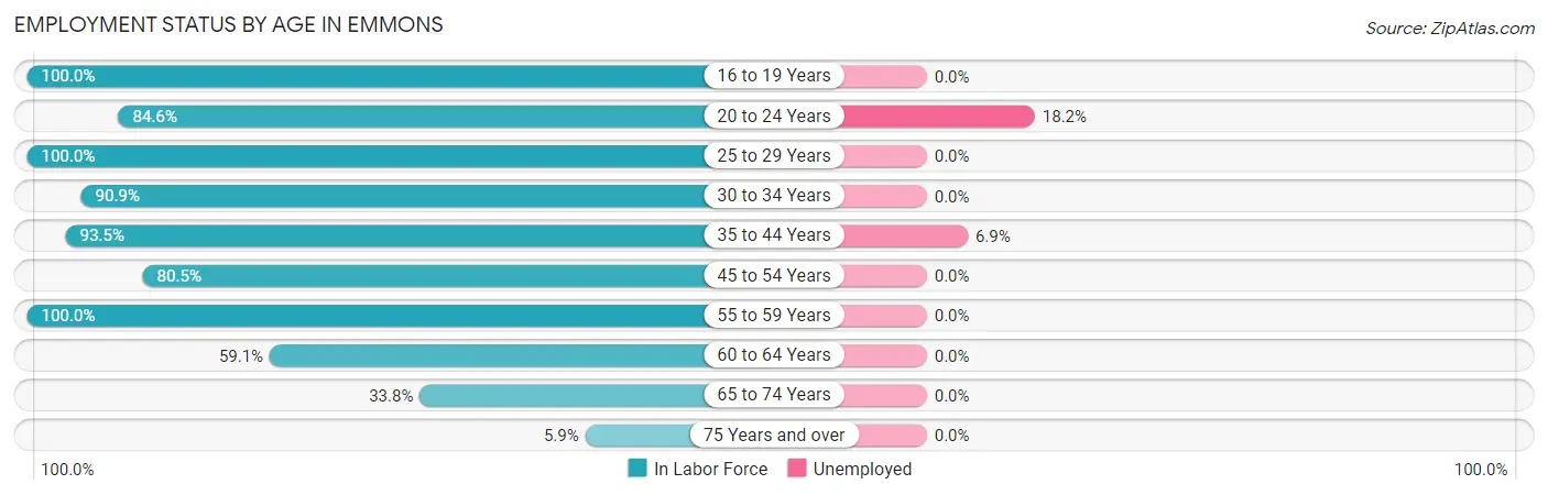 Employment Status by Age in Emmons