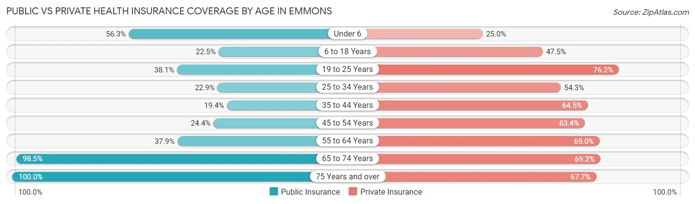 Public vs Private Health Insurance Coverage by Age in Emmons