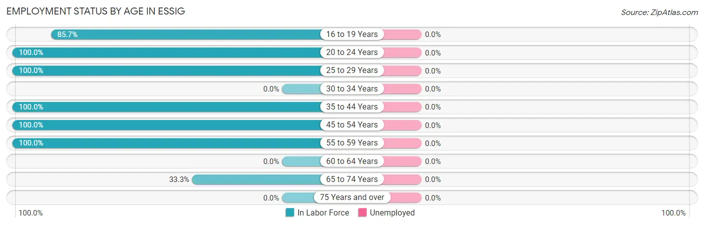 Employment Status by Age in Essig