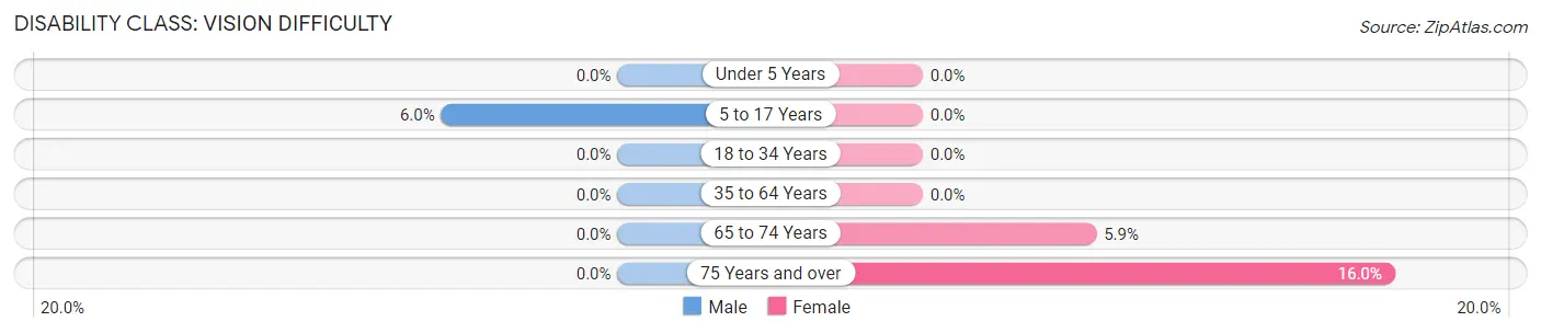 Disability in Fairfax: <span>Vision Difficulty</span>