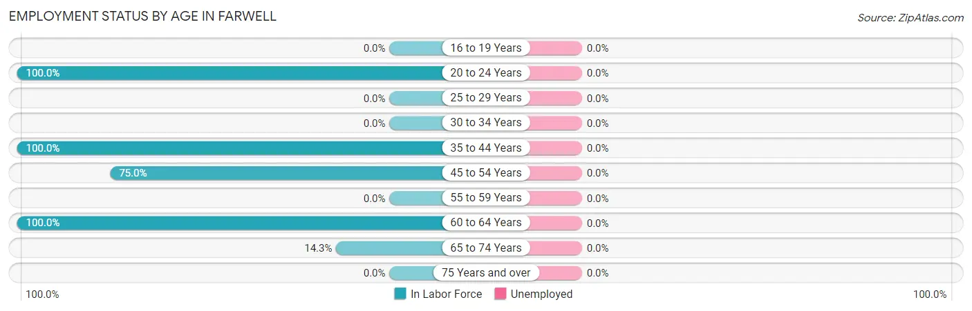 Employment Status by Age in Farwell