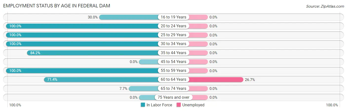Employment Status by Age in Federal Dam