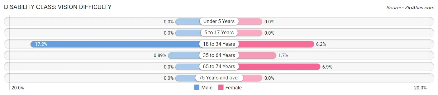 Disability in Fertile: <span>Vision Difficulty</span>