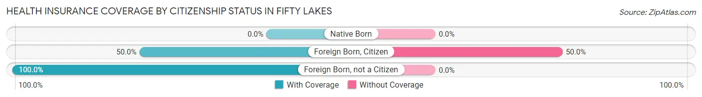 Health Insurance Coverage by Citizenship Status in Fifty Lakes
