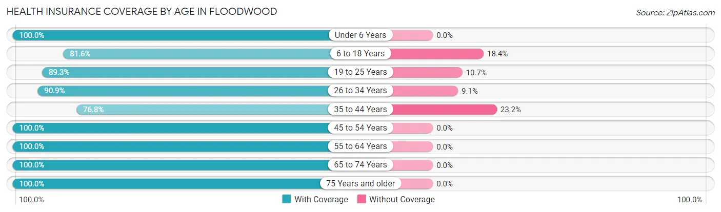 Health Insurance Coverage by Age in Floodwood