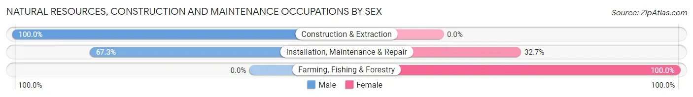 Natural Resources, Construction and Maintenance Occupations by Sex in Frazee