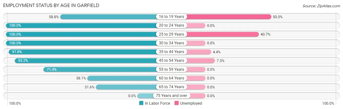 Employment Status by Age in Garfield