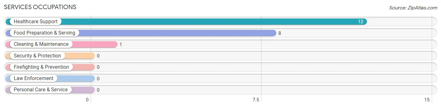 Services Occupations in Gonvick