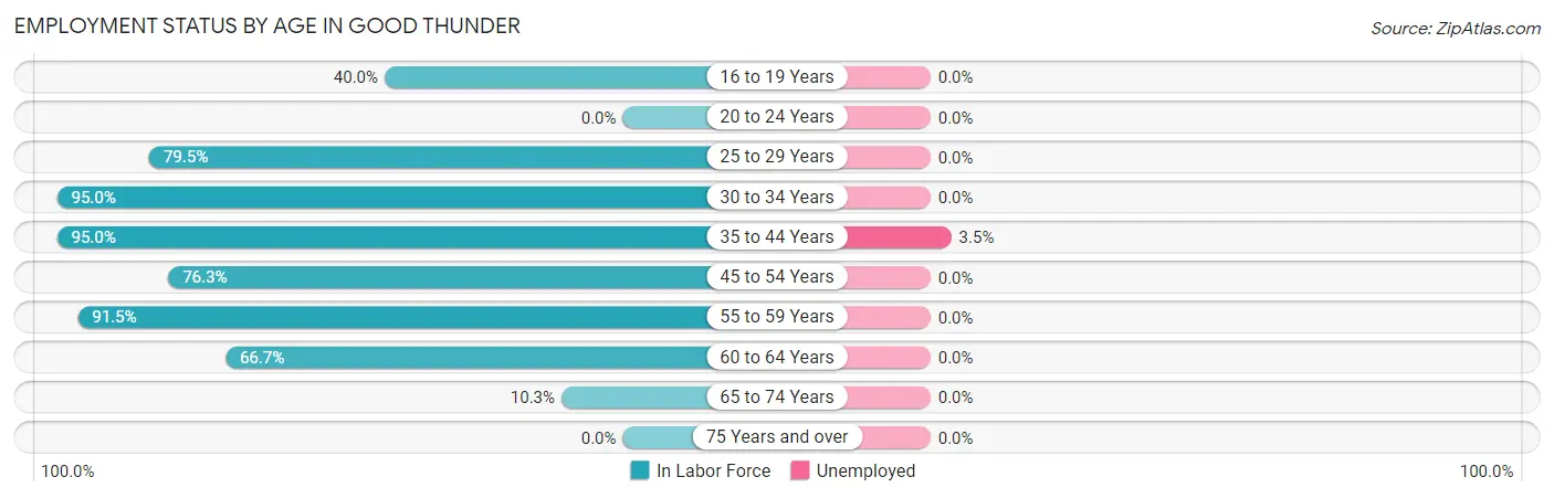 Employment Status by Age in Good Thunder