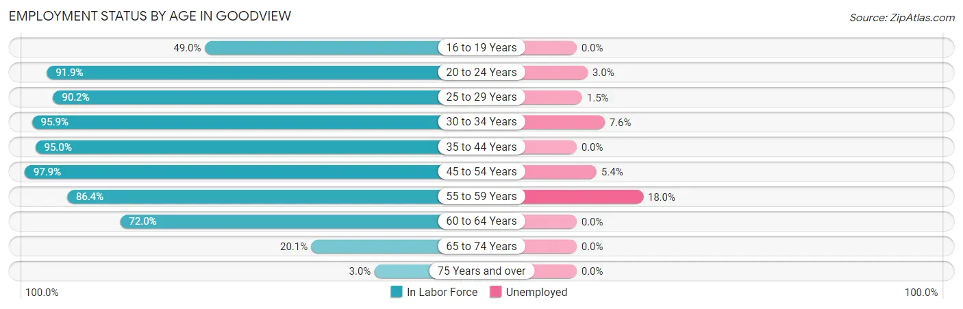 Employment Status by Age in Goodview