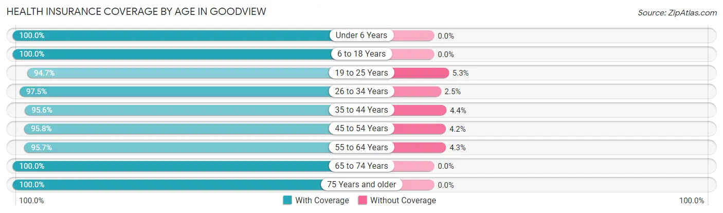 Health Insurance Coverage by Age in Goodview