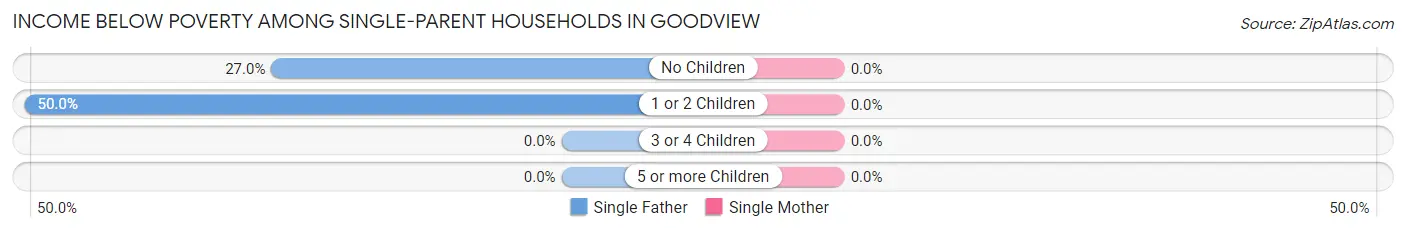 Income Below Poverty Among Single-Parent Households in Goodview