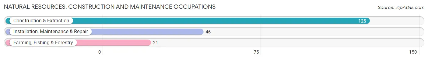 Natural Resources, Construction and Maintenance Occupations in Goodview