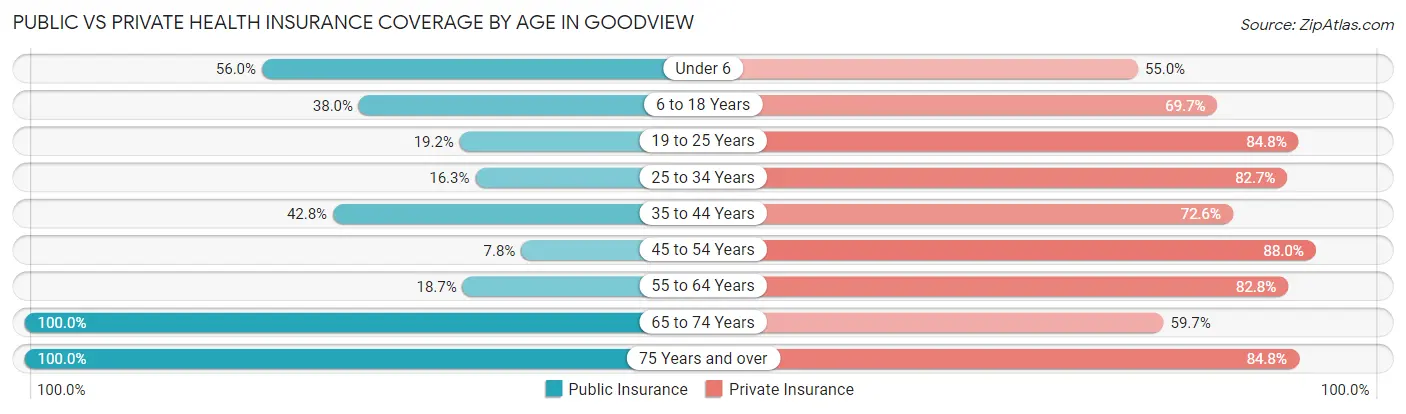 Public vs Private Health Insurance Coverage by Age in Goodview