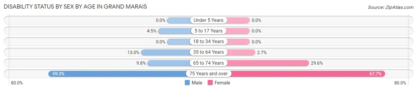 Disability Status by Sex by Age in Grand Marais