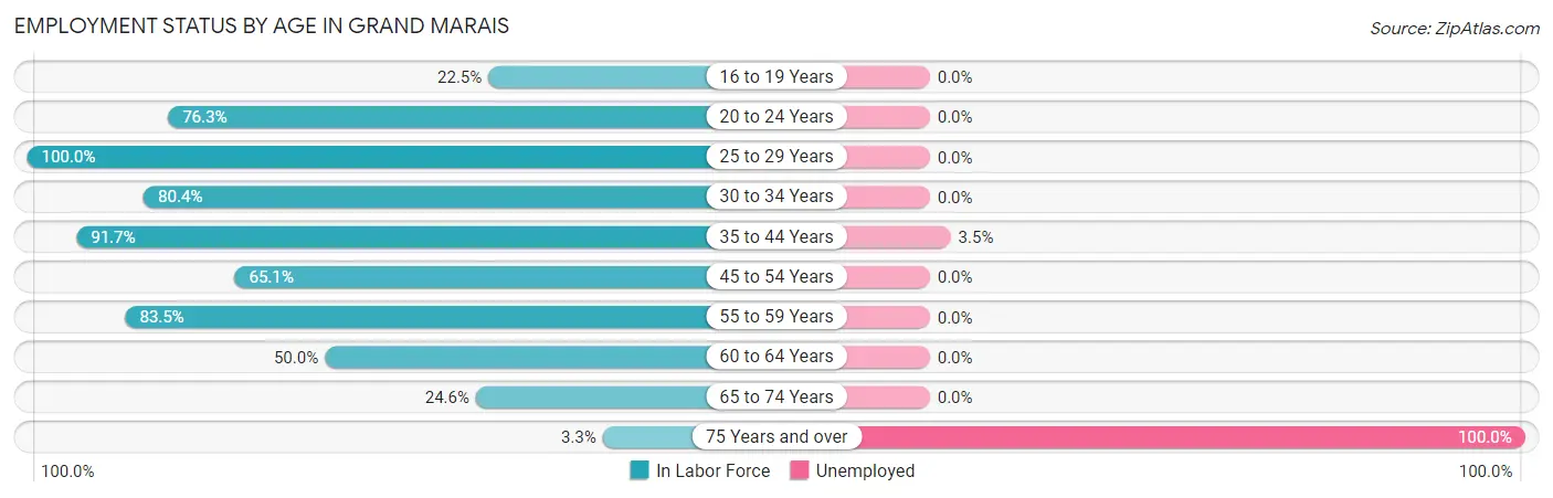 Employment Status by Age in Grand Marais