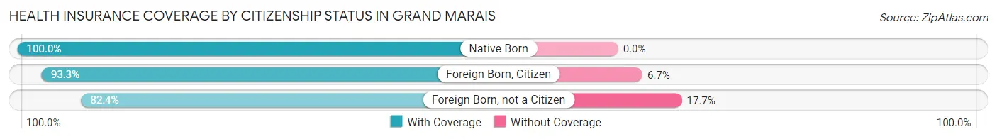 Health Insurance Coverage by Citizenship Status in Grand Marais