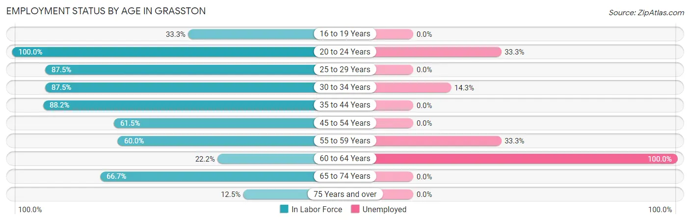 Employment Status by Age in Grasston