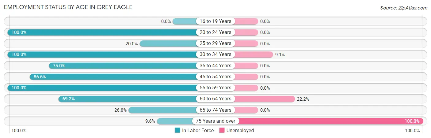 Employment Status by Age in Grey Eagle