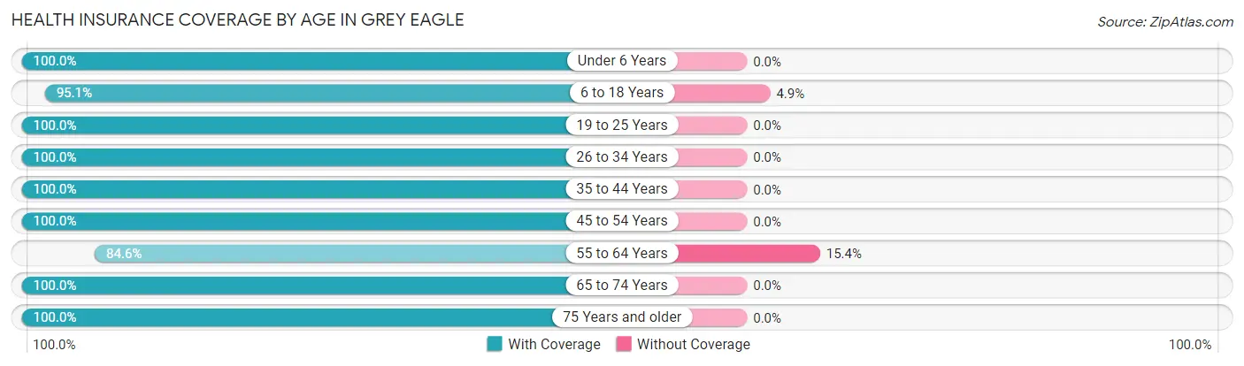 Health Insurance Coverage by Age in Grey Eagle