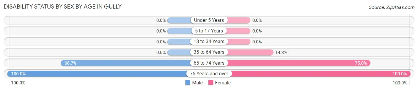 Disability Status by Sex by Age in Gully