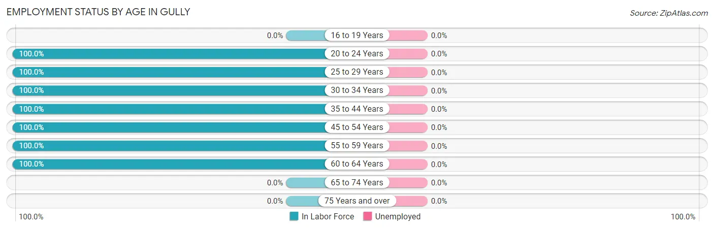 Employment Status by Age in Gully