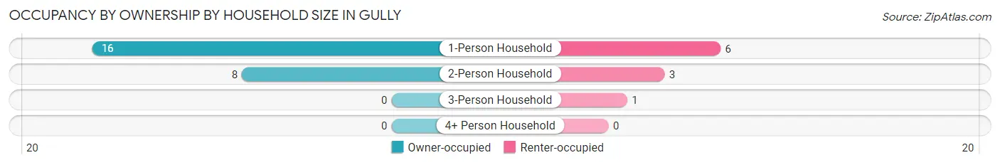 Occupancy by Ownership by Household Size in Gully