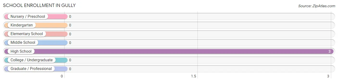 School Enrollment in Gully