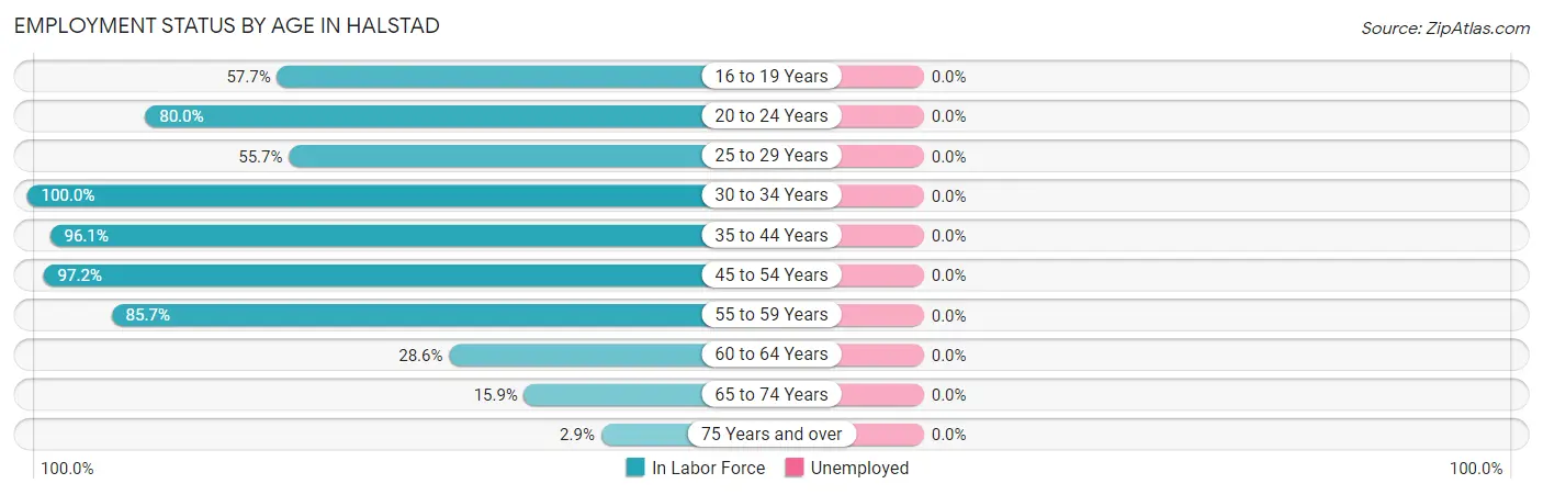 Employment Status by Age in Halstad