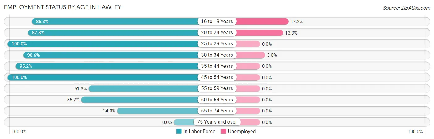 Employment Status by Age in Hawley