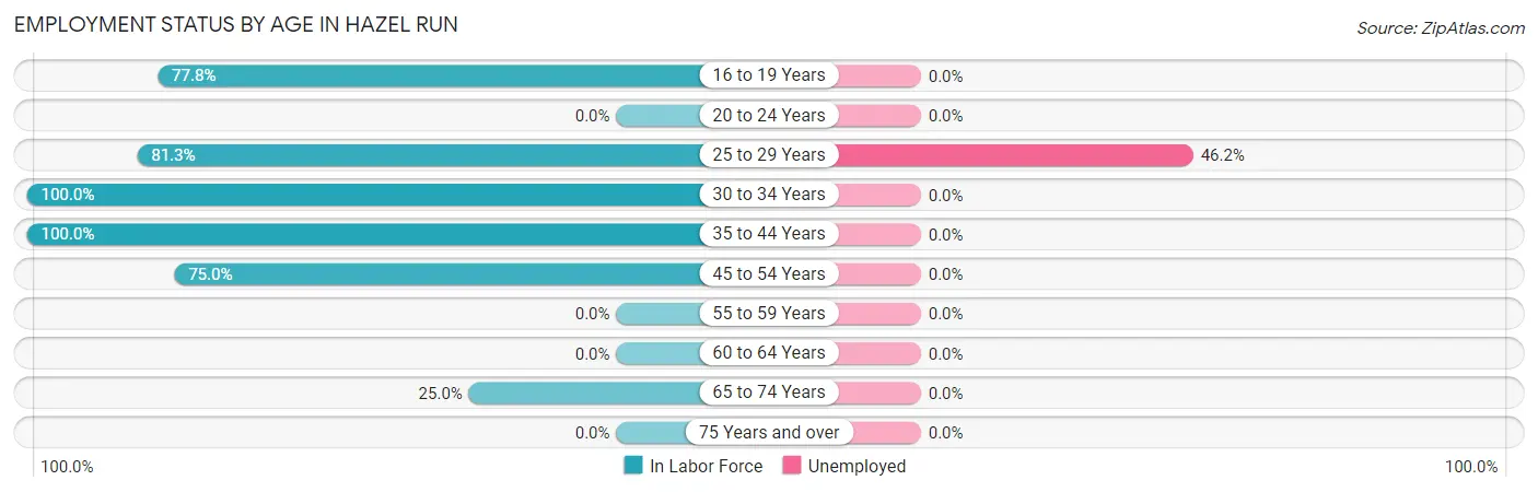 Employment Status by Age in Hazel Run